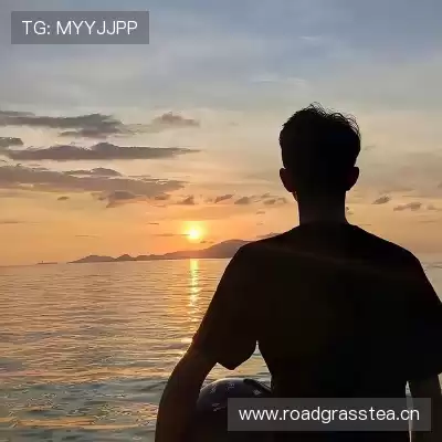 赖晨舒